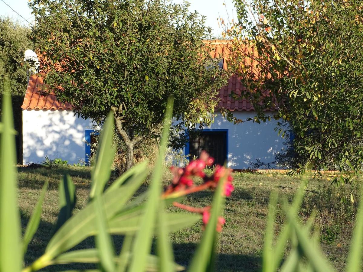 Quinta Das Teimosas By Stay In Alentejo Cercal do Alentejo Exterior foto